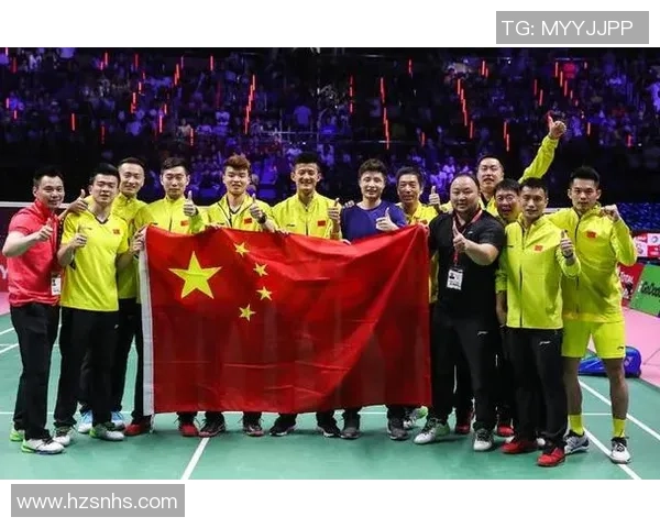 上海羽毛球队杯赛战术解析与表现评估全景分析